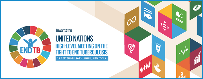 second u.n. high-level meeting on TB banner