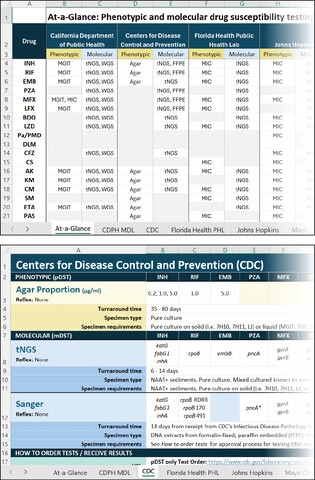 Excel lab tool highlighting at a glance and CDC tabs