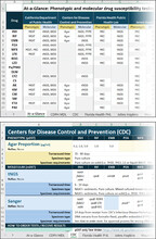 Excel lab tool highlighting at a glance and CDC tabs
